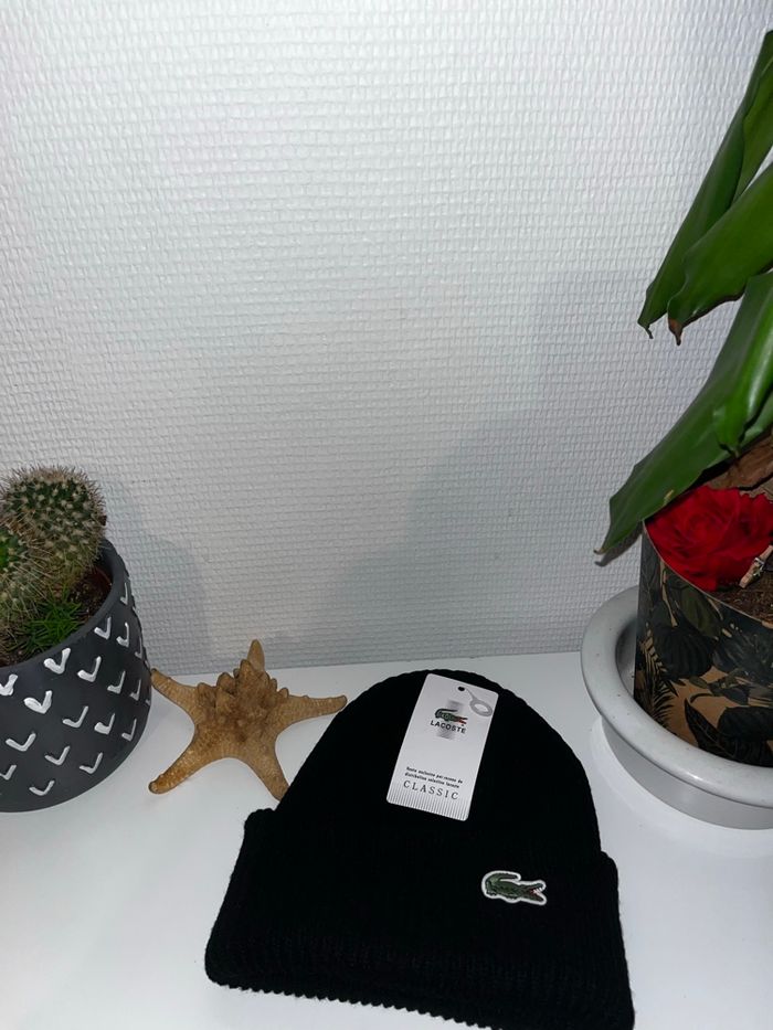 Bonnet - photo numéro 2