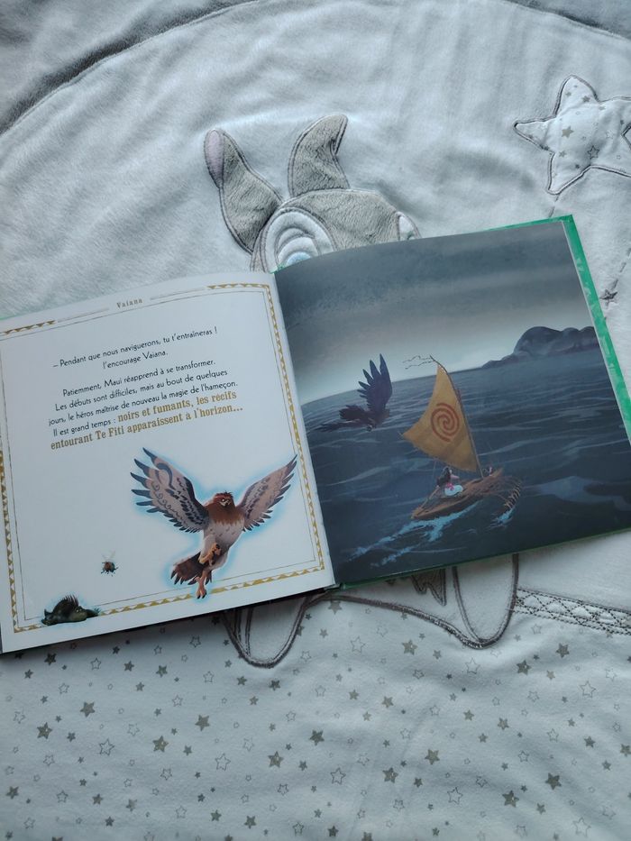 Livre Vaiana - photo numéro 3
