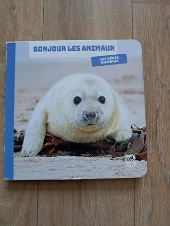 Livre cartonné bébés animaux