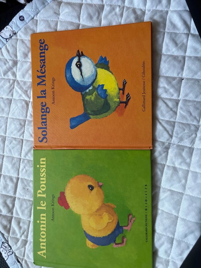 Livre enfant drôles de petites bêtes