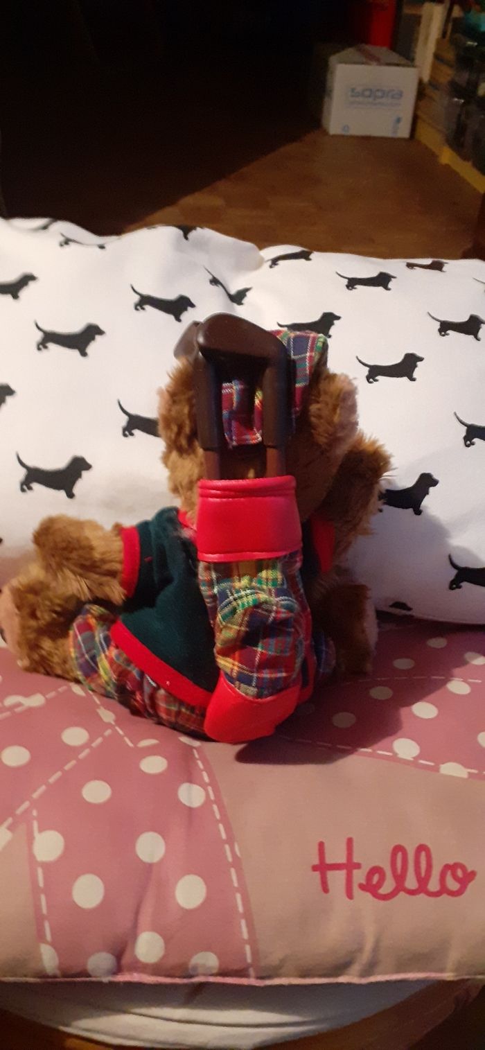 Ourson habille - photo numéro 2