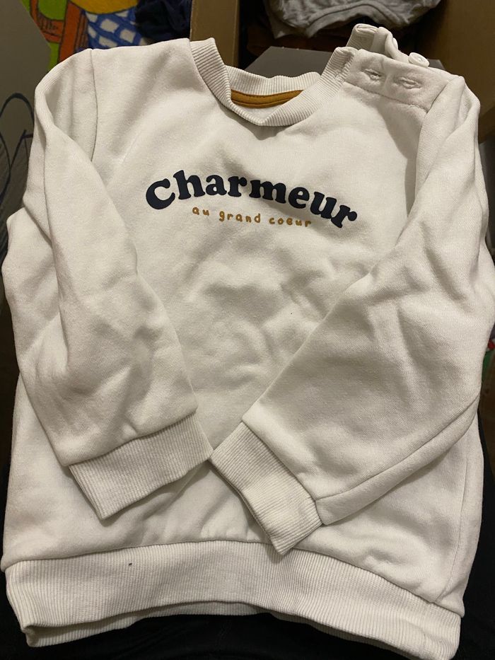 Tee shirt manche longue et pull 24 mois - photo numéro 6