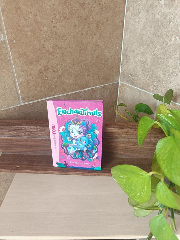 Livre enchantimals