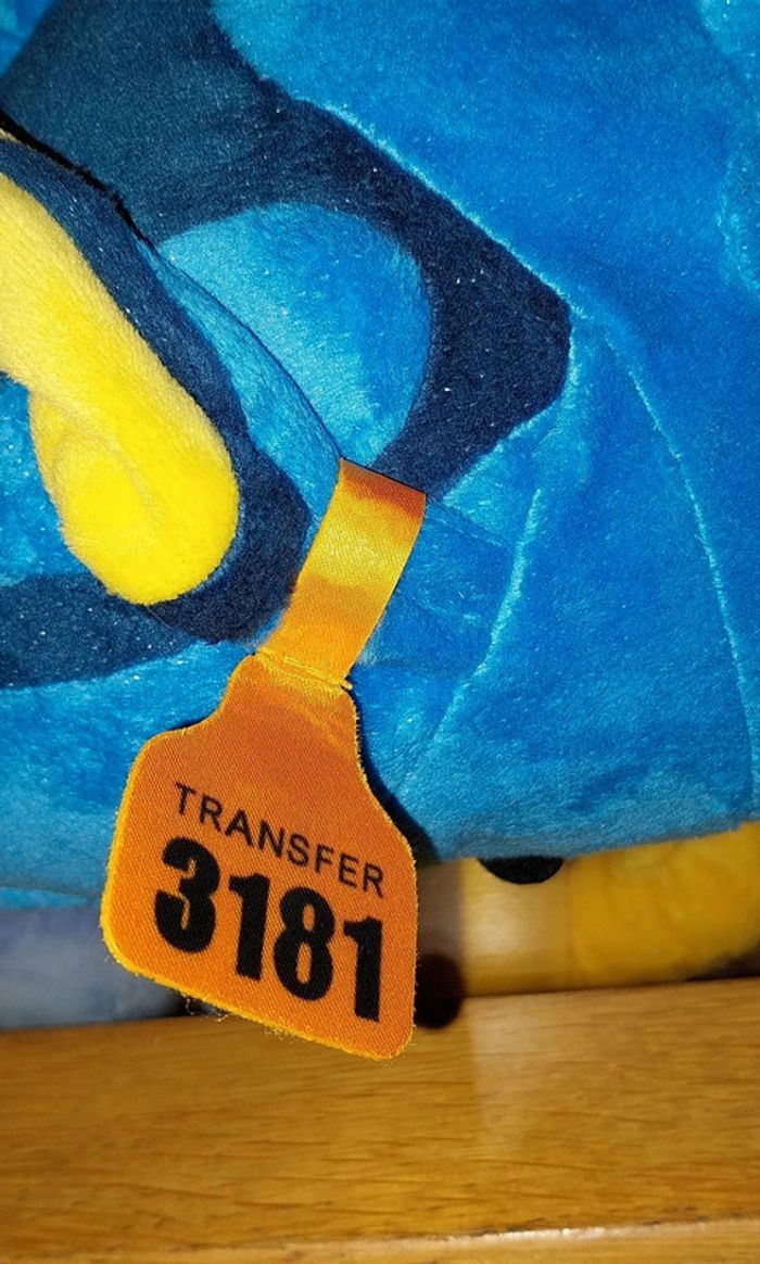 Pick-up Dory Disney - photo numéro 4