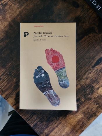 Livre : Journal d' Aran et d'autre lieux