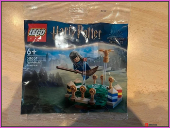 LEGO L’entraînement de Quidditch™ 30651 Harry Potter set neuf scellé collector