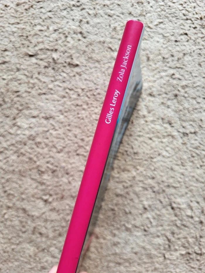 Livre Zola Jackson de Gilles Leroy – Roman émouvant sur l'ouragan Katrina - photo numéro 4