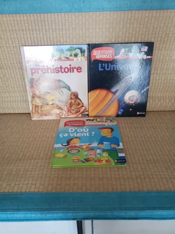 Lot de 3 livres questions réponses