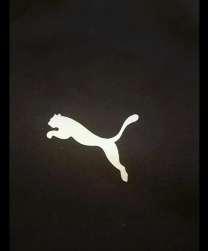 Pull Puma - photo numéro 2