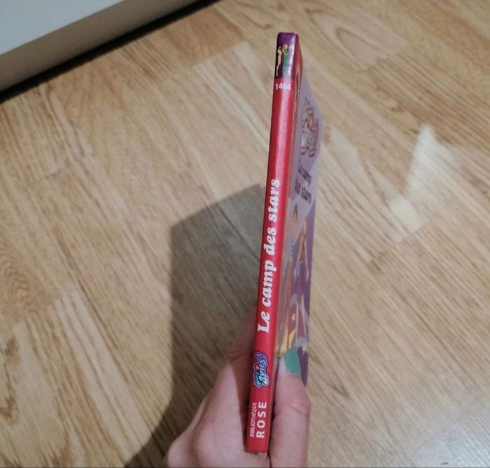 Totally spies le camp des stars - photo numéro 2