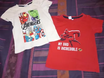Lot 2 tee-shirts supers heros