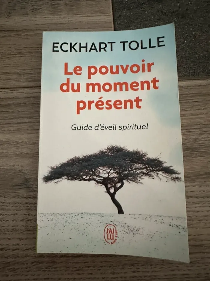 Le pouvoir du moment présent
