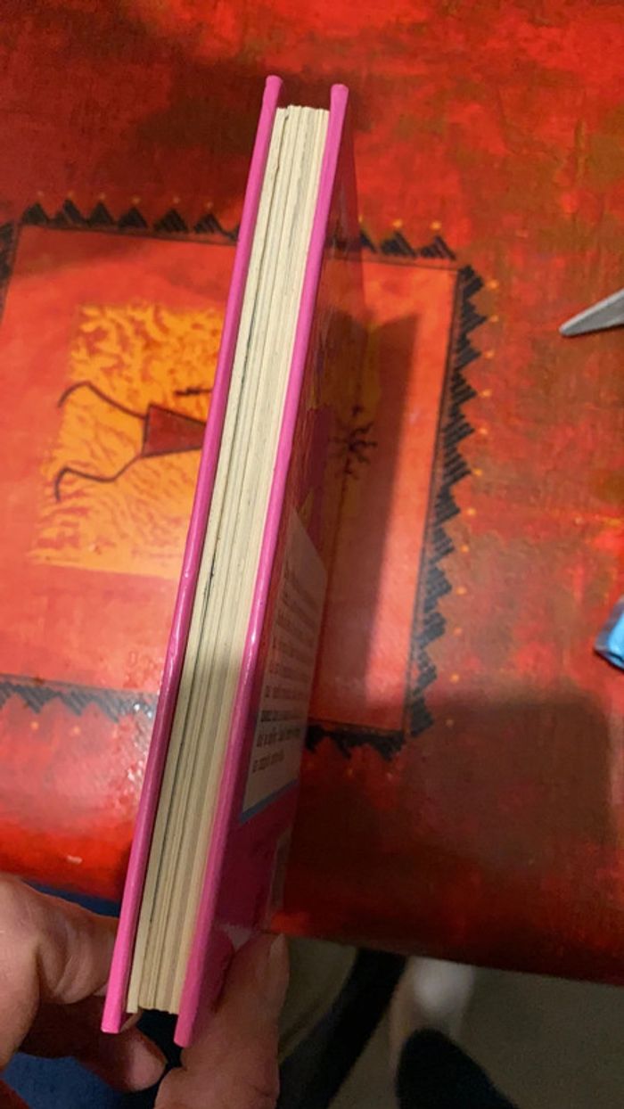 Livre barbie - photo numéro 3