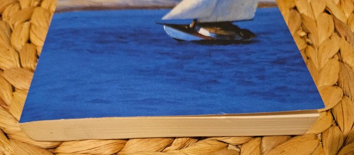 Livre de Philippe Besson La maison atlantique - photo numéro 4