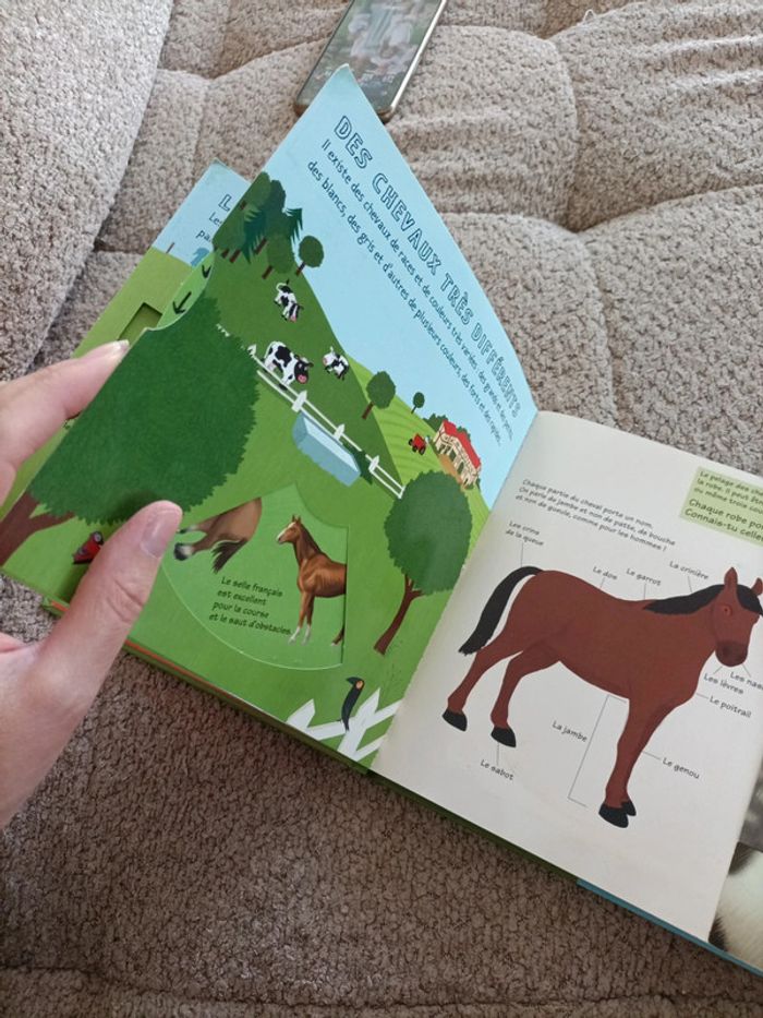 Livre Kididoc : Les chevaux et les poneys - photo numéro 9