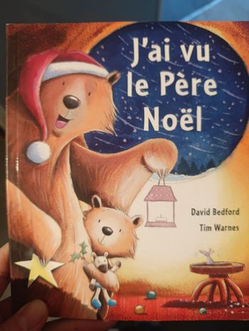 Livre j'ai vu le père noël