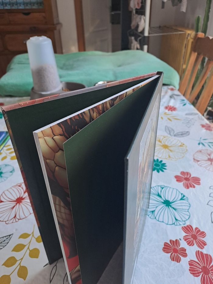 Le réveil du dragon, tome 2, apocalypse - photo numéro 3