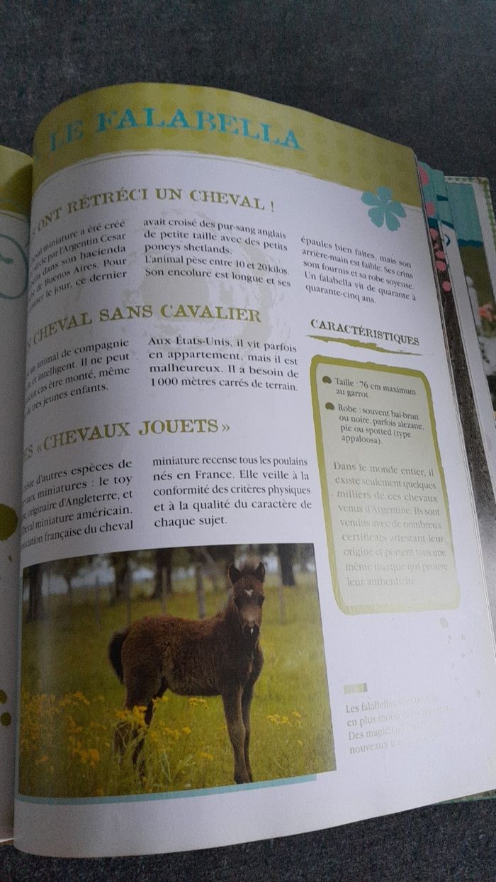 Au galop - photo numéro 7