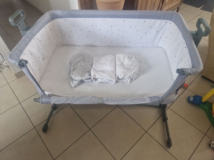 Cododo - photo numéro 2