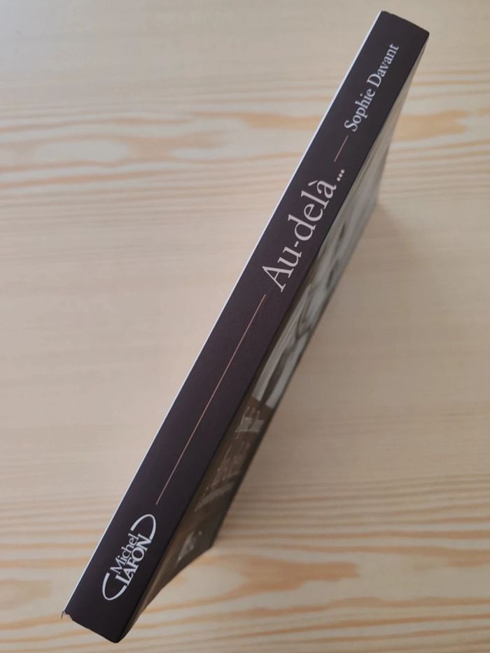 Sophie Davant 🌸 Au-delà - photo numéro 3