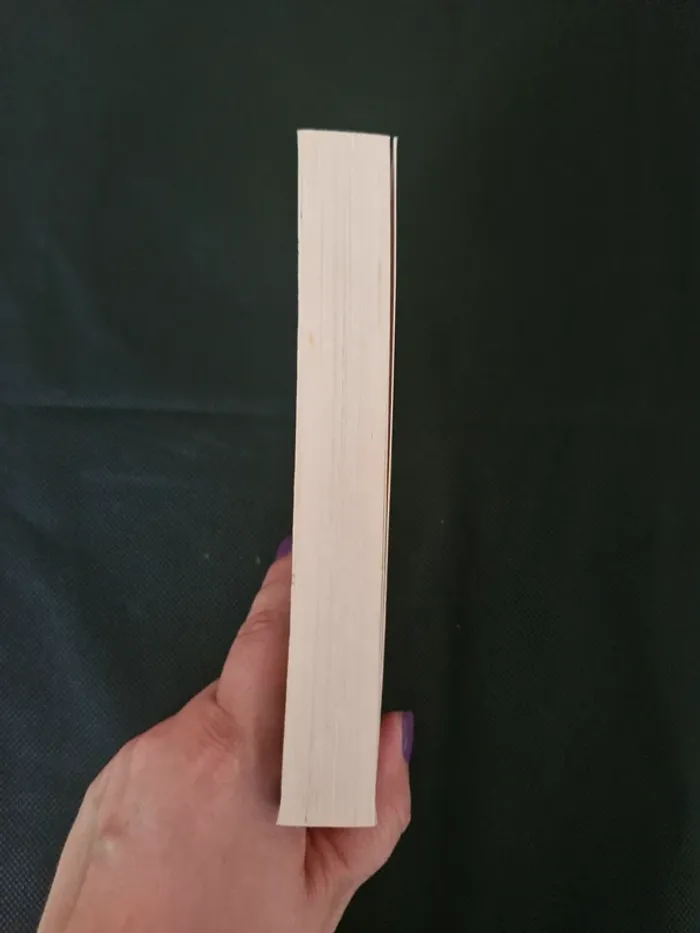 L'épreuve - Tome 2 - La Terre Brûlée - James Dashner - photo numéro 4