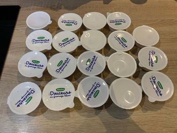 Lot de 19 yaourts douceurs au fromage blanc Bledina