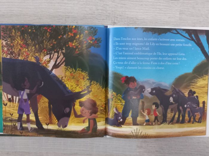 un anniversaire dans le maquis corse - photo numéro 4