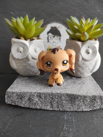 My Littlest Petshop LPS chien epagneul spaniel 575 hasbro dog #geektradelpschien