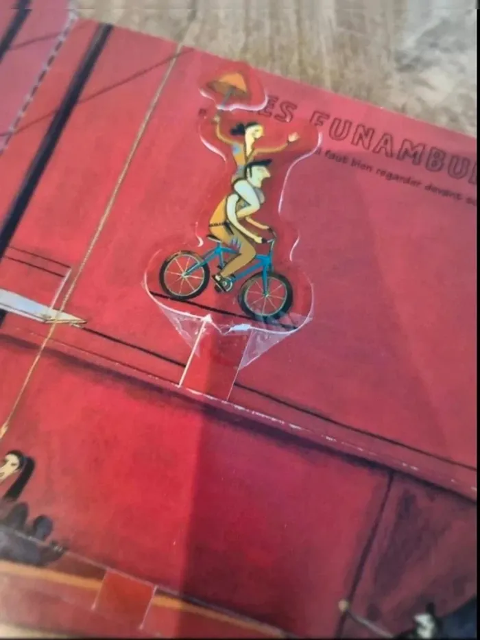 Livre enfant le cirque kididoc - photo numéro 10