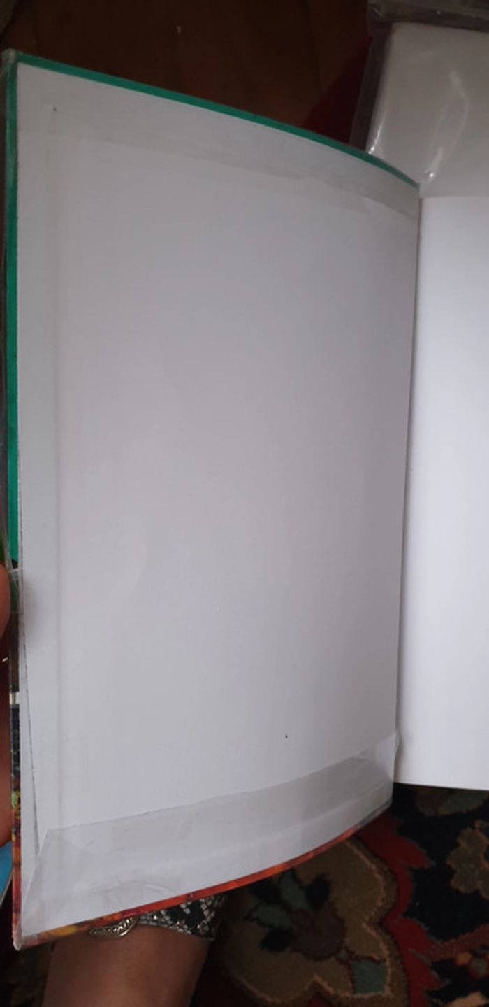 Histoire Géographie histoire des arts CM2 magellan - photo numéro 4