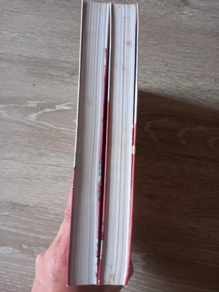 Tome 1 et 2 tu mourras moins bête - photo numéro 4