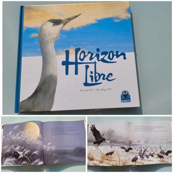 Très beau livre Horizon libre 🦤 éditions Le P'tit Paquet (68)