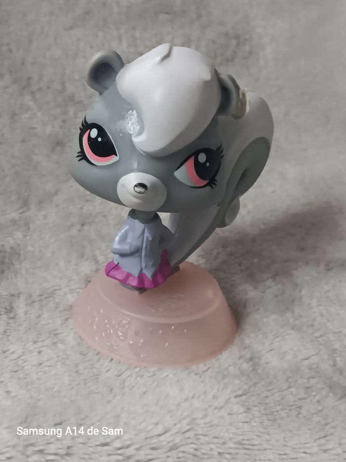 Petshop ecureuil macdonald