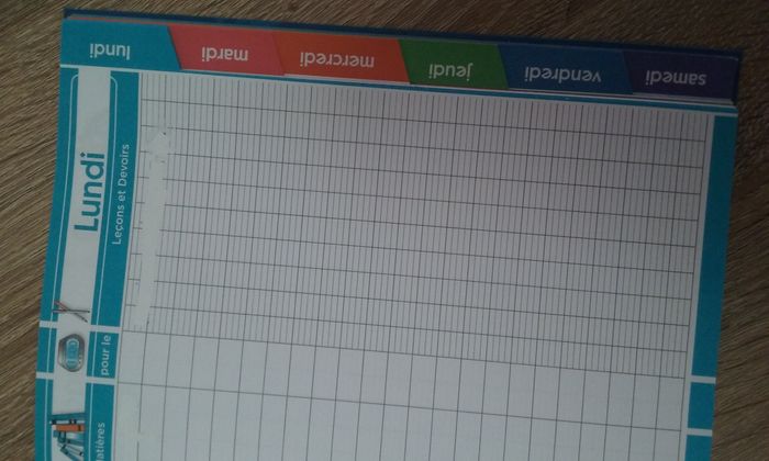 cahier de textes Les Minions - photo numéro 10