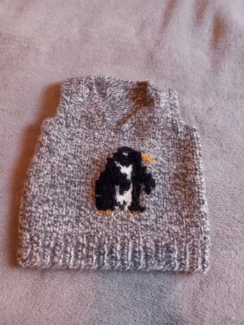 Pull sans Manches Taille 6 mois