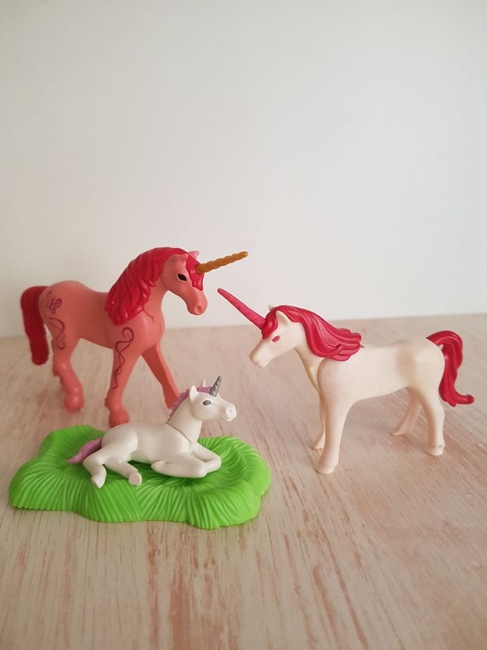 Princesse, fées, chouette et licornes Playmobil magic - photo numéro 5