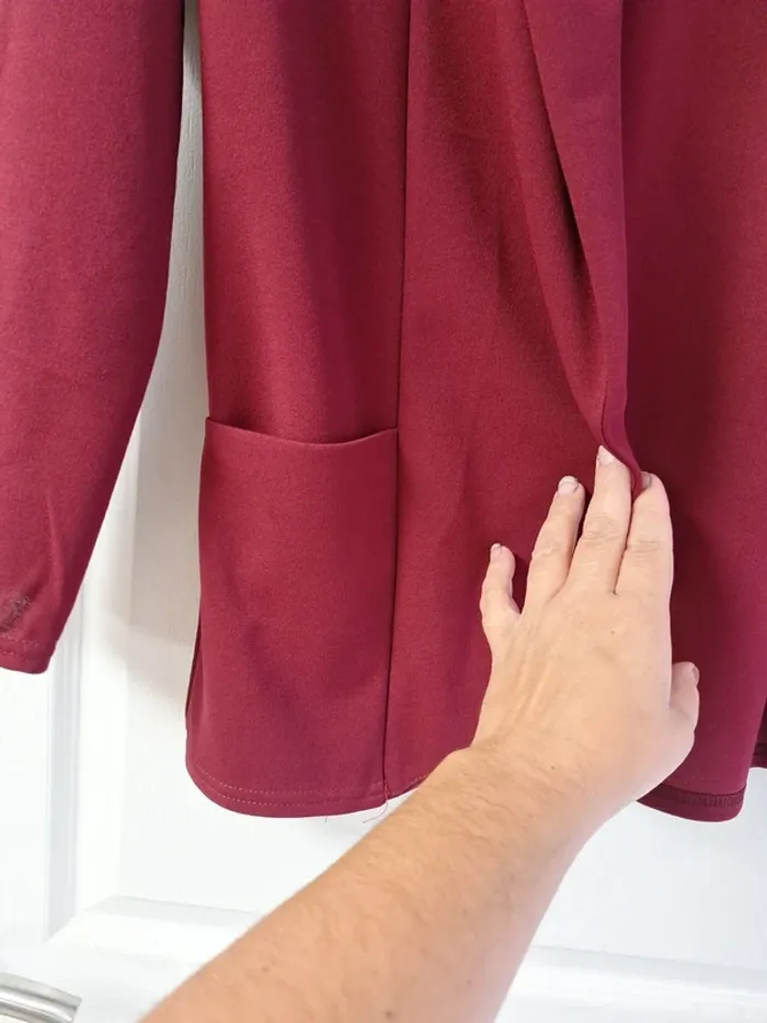 Blazer - photo numéro 2