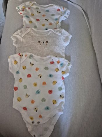 Lot 5 bodies demis manche