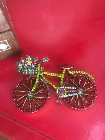 Belle broche vélo
