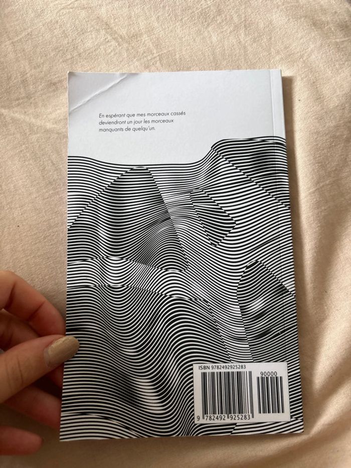 Je ne finirai jamais ce livre - photo numéro 3