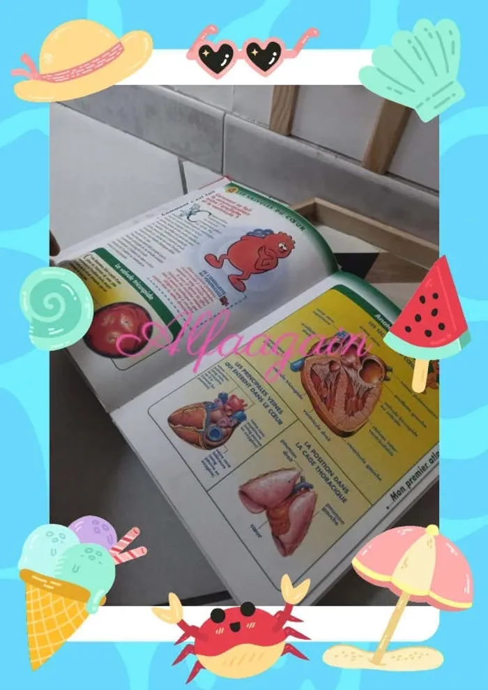 Livre il était une fois la vie le cœur la circulation - photo numéro 8