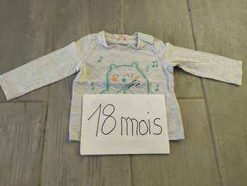 Lot n°361 T-shirt manches longues Du Pareil au Même 18 mois