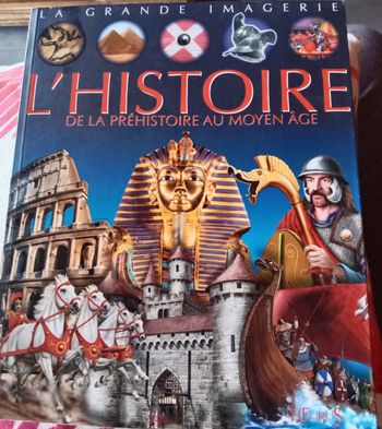 Histoire de la Préhistoire au Moyen-âge