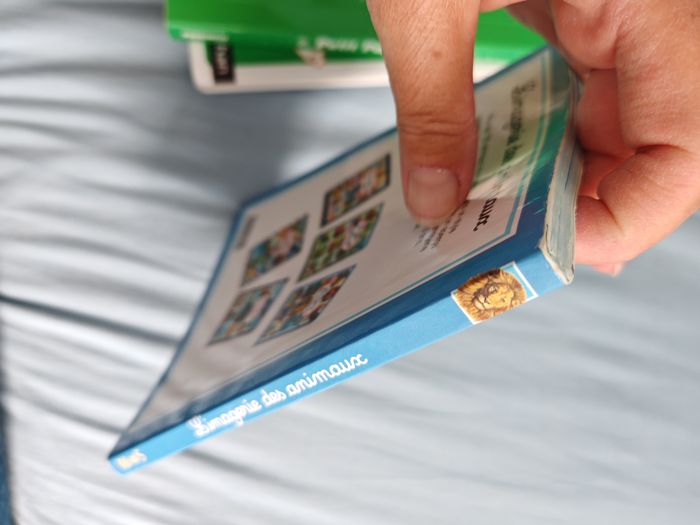 L'imagier des animaux - photo numéro 5