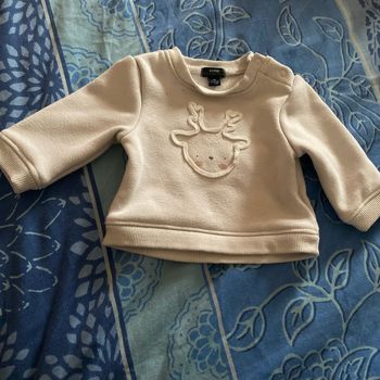 Pull 1 mois