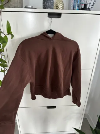 Sweat capuche Marron Zara - neuf