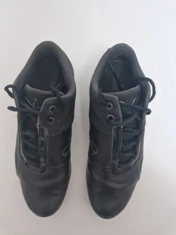 Basket Puma hommes