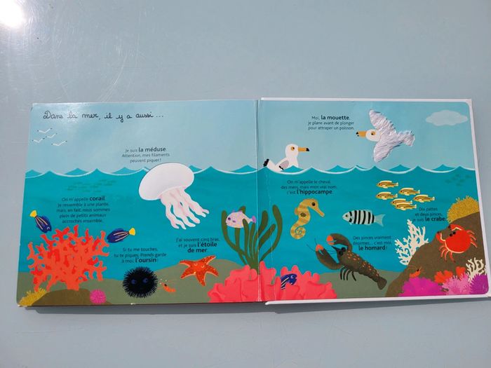Beau livre animé 🦀 Mes animaux des mers 🐬 à toucher 🦐 Milan Jeunesse (72) - photo numéro 18