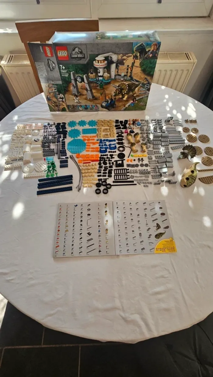 LEGO Jurassic World 75937- La Fuite du Tricératops Complet - photo numéro 2