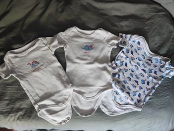 Body manches courtes